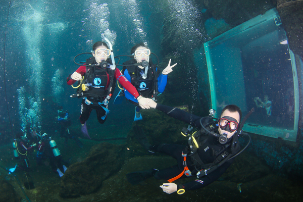 12/12正式上線！PADI 最新課程【休閑潛水員Resort Diver】 丨 一天拿證，潛遍全球