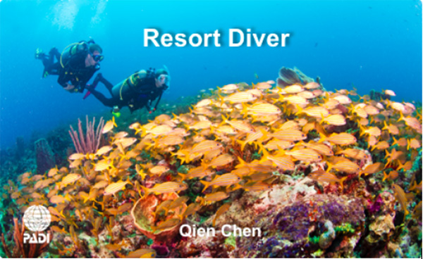 12/12正式上線！PADI 最新課程【休閑潛水員Resort Diver】 丨 一天拿證，潛遍全球