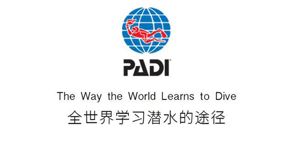 12/12正式上線！PADI 最新課程【休閑潛水員Resort Diver】 丨 一天拿證，潛遍全球
