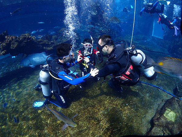12/12正式上線！PADI 最新課程【休閑潛水員Resort Diver】 丨 一天拿證，潛遍全球