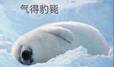 原來你是這樣的潛水員妹子！